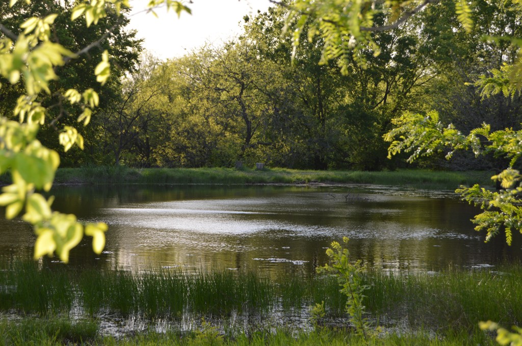 The Art of&nbsp;Connection