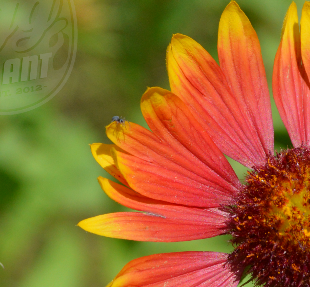 Discovering the Unexpected