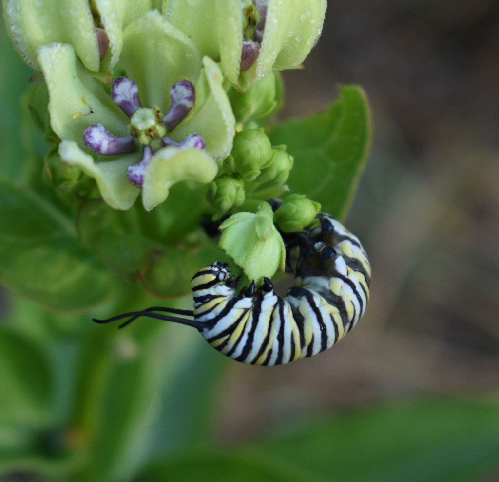 Weekly Snapshot – September&nbsp;12